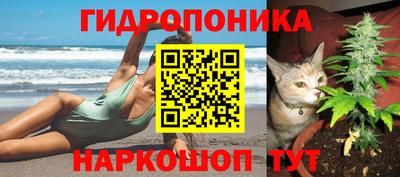 стаф Новокубанск