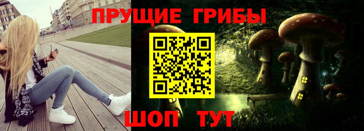 Новоалександровск  Галлюциногенные грибы Psilocybe  Вход с VPN  Галлюциногенные грибы мухоморы 